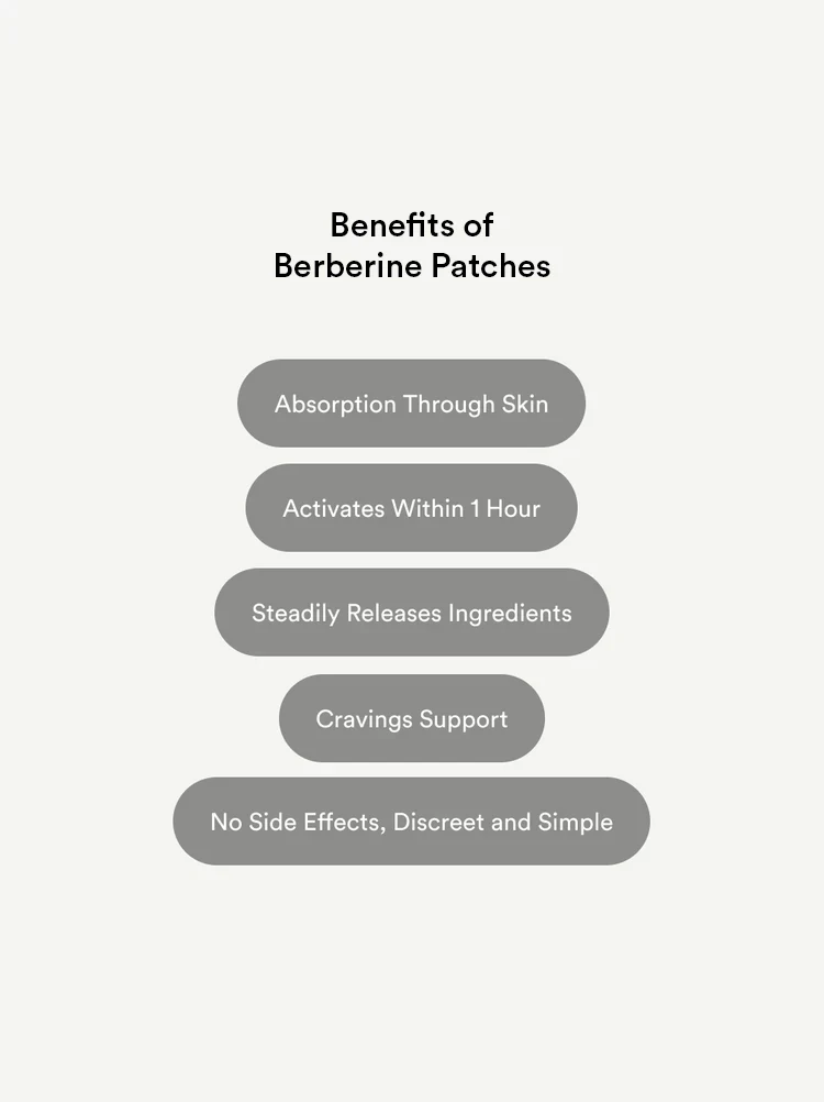 Berberine Patches (Upgraded GLP-1) - Image 5
