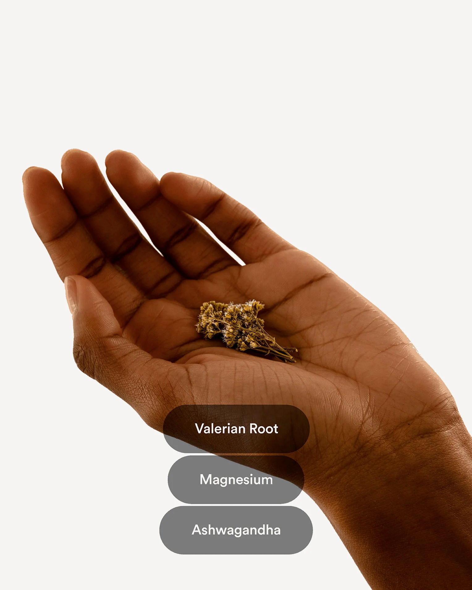 Dream Patches Valerian Root - Extra Strong - Image 4