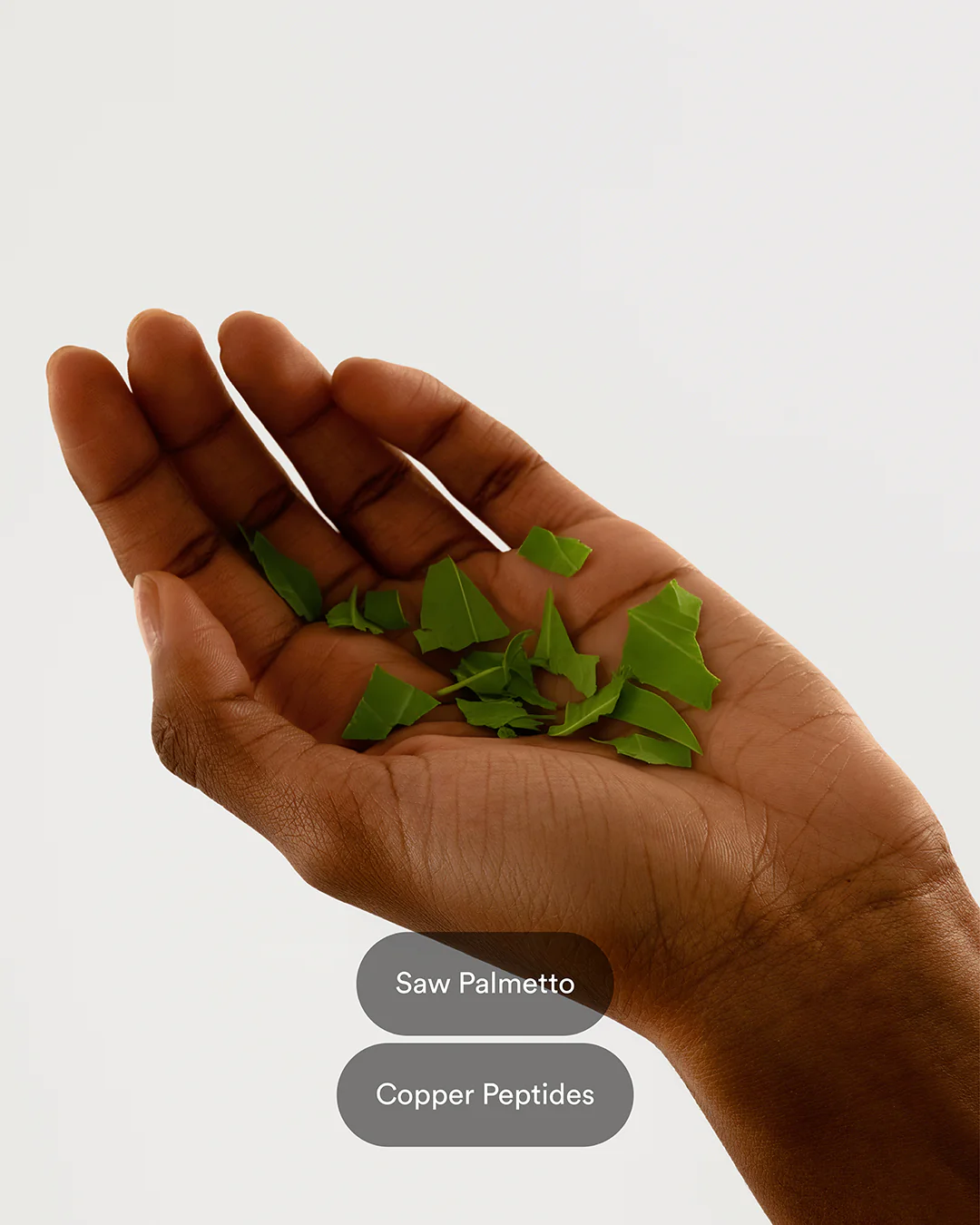 Hair Support Patches - Image 4