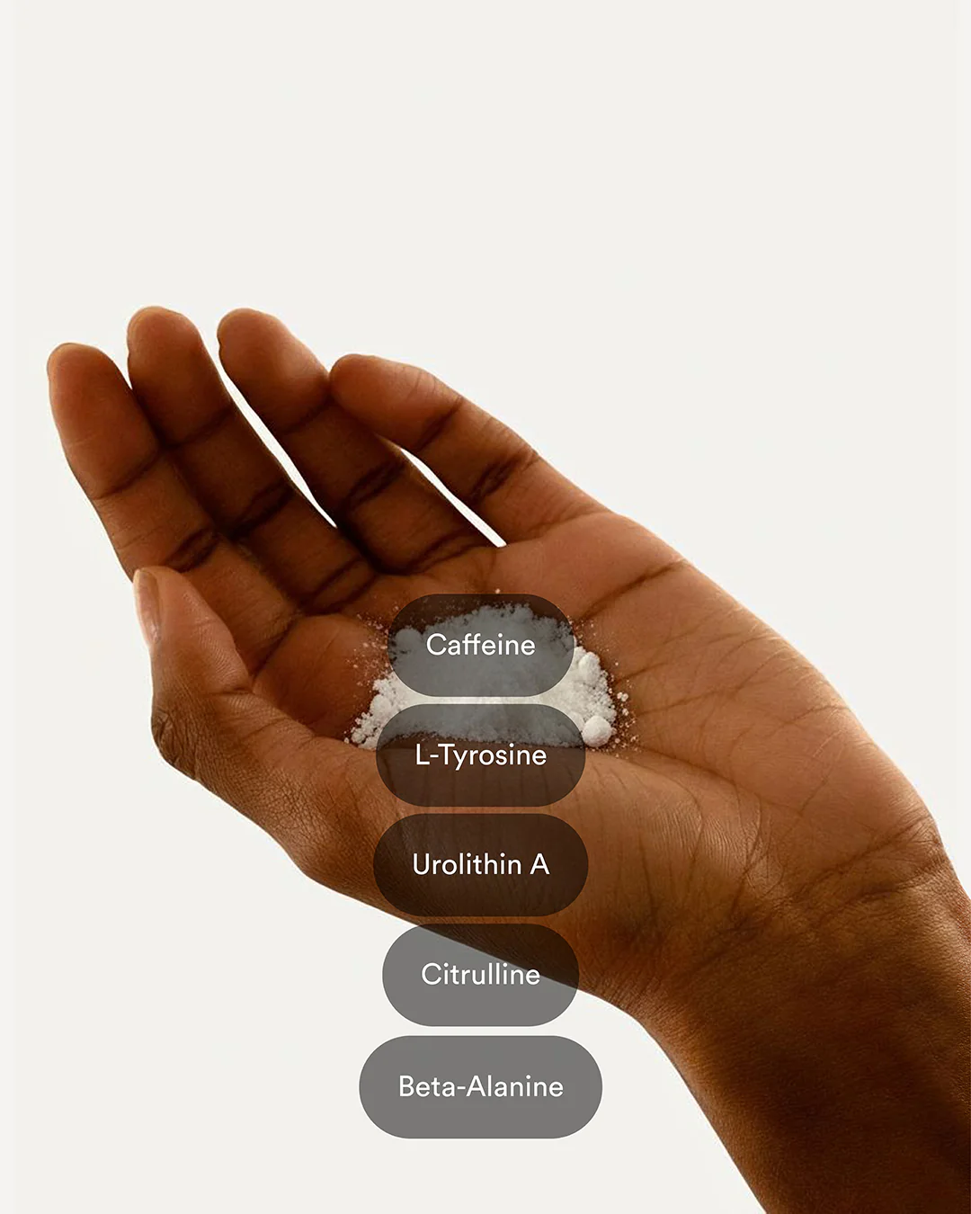 Pulse Patches - Image 4